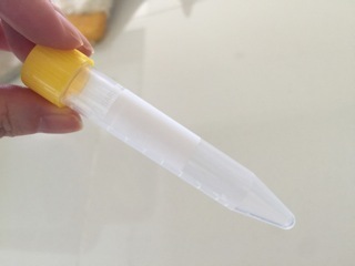 IMG_0759.jpeg